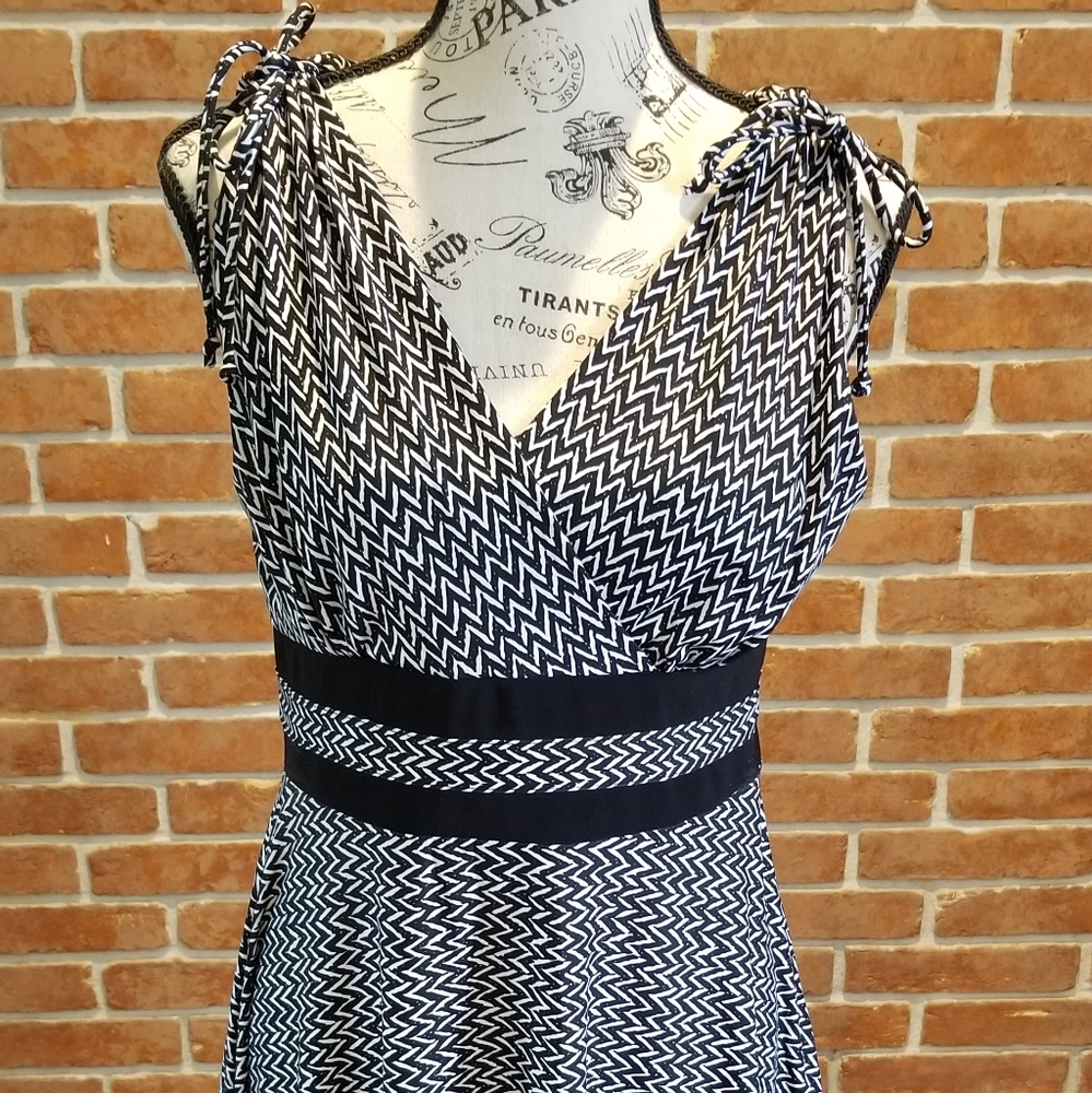 Size 10P dress